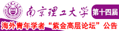 操逼通网南京理工大学第十四届海外青年学者紫金论坛诚邀海内外英才！